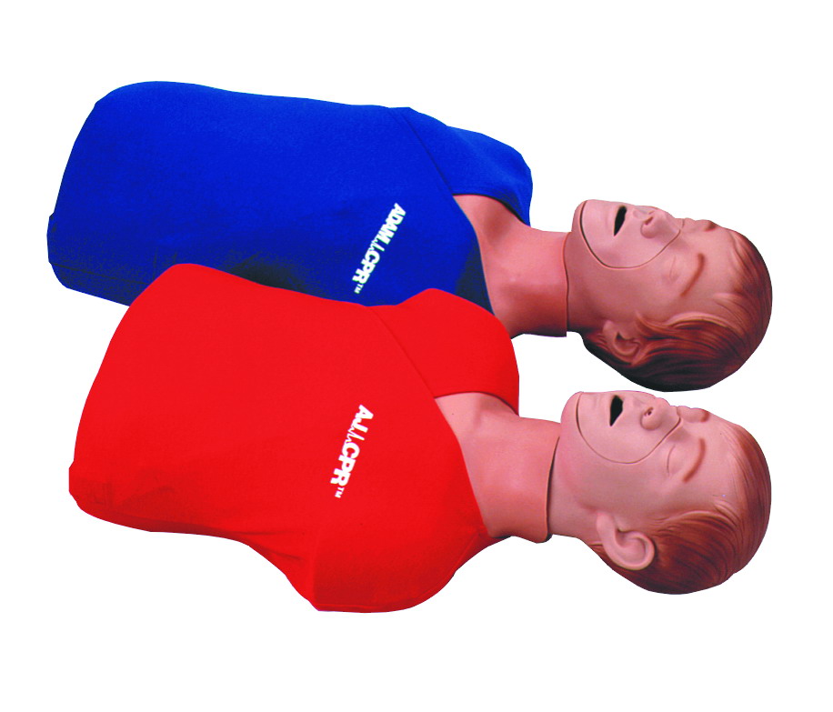 PP2300