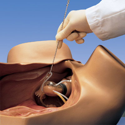 image-20210622144906-1