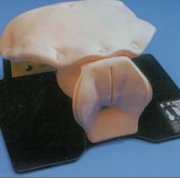 image-20210622161317-1