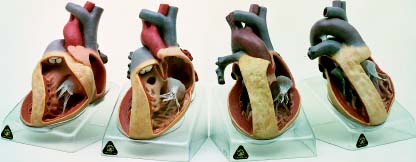 image-20210622162719-1