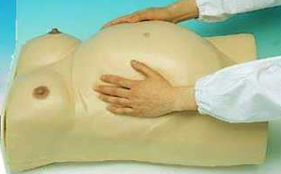 image-20210623085707-1