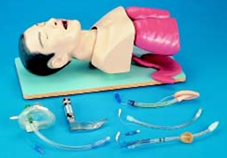 image-20210623092438-1