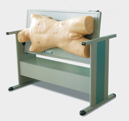 image-20210623093652-1