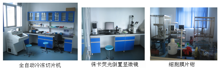 中山大学疼痛研究中心