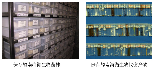 “海洋微生物功能分子”广东省高校重点实验室