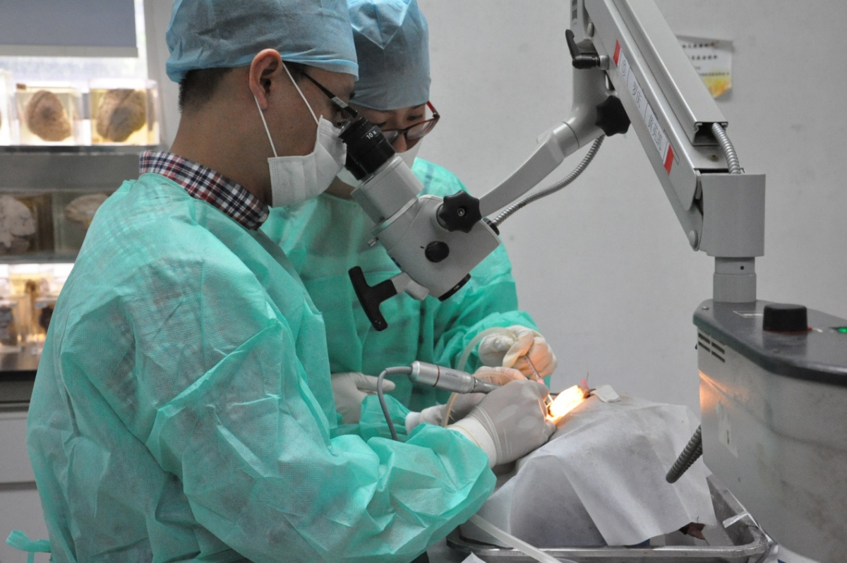 基础与临床的紧密结合，模拟向实操的高效衔接——中山医学院临床解剖学外科微创技术训练平台开展